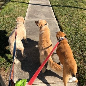 Meet your Posher, Nick